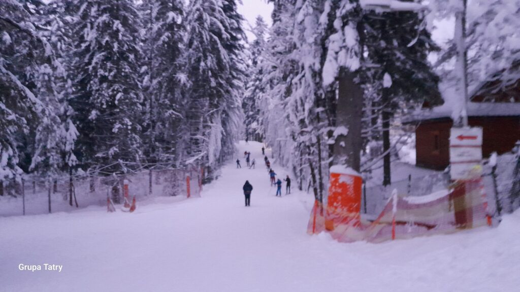 May be an image of 2 people and people skiing